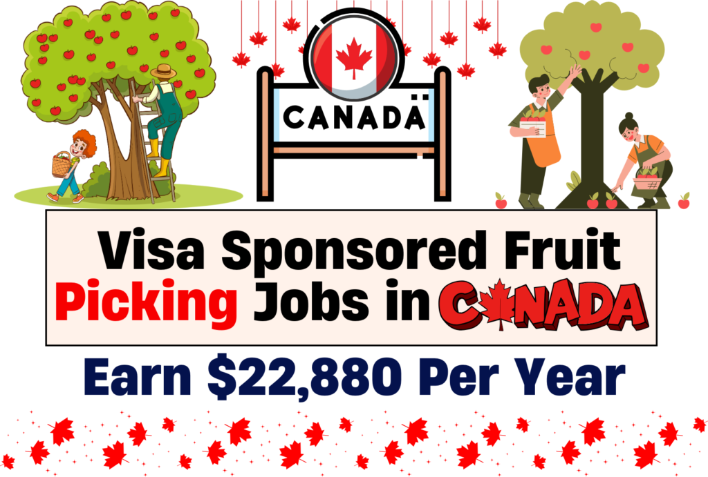 Fruit Picking Jobs in Canada with Visa Sponsorship ($22,880 Per Year)