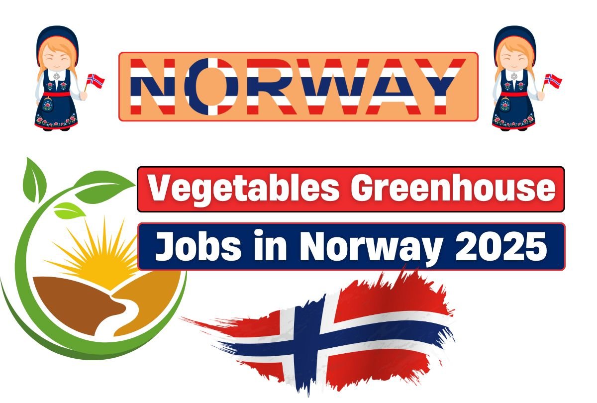 Vegetables Greenhouse Jobs in Norway 2025 – Work Permit