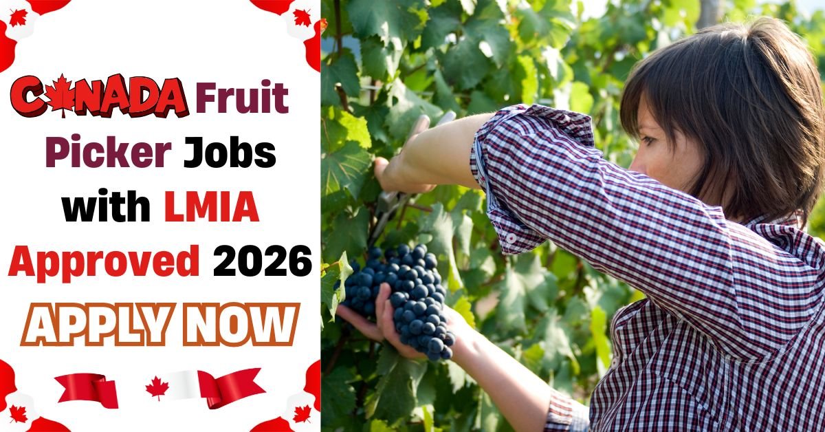 Canada Fruit Picker Jobs with LMIA Approved 2026